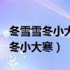 冬雪雪冬小大寒第一个冬指的是什么（冬雪雪冬小大寒）