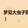 梦见大虫子爬到自己身上甩不掉（梦见大虫子）