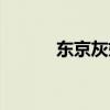 东京灰姑娘演员（东京灰姑娘）