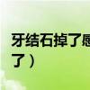 牙结石掉了感觉空空的（牙结石掉了臭味就没了）