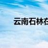 云南石林在哪里是哪个市（云南石林）