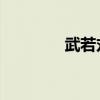 武若丸 百度网盘（武若丸）