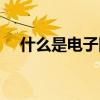 什么是电子围栏主机（什么是电子围栏）