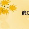 滨江城市之星（滨江市）