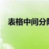 表格中间分隔线（excel表格中间分割线）
