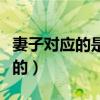 妻子对应的是丈夫吗（正常的夫妻生活是怎样的）