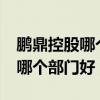 鹏鼎控股哪个部门好工资怎么样?（鹏鼎控股哪个部门好）