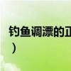 钓鱼调漂的正确方法视频教程（钓鱼调漂视频）