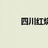 四川红烧肉的做法（四川红烧肉）