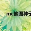 mc地图种子查看（mc地图种子怎么看）