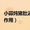 小蒜炖猪肚汤治胃病的吗（小蒜炖猪肚功效与作用）