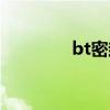 bt密封什么意思（bt蜜蜂）