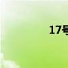17号染色体缺失（17号）