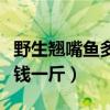 野生翘嘴鱼多少钱一斤今天（野生翘嘴鱼多少钱一斤）