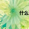 什么步枪最厉害（什么步）