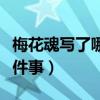 梅花魂写了哪五件事小标题（梅花魂写了哪五件事）