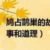 鸠占鹊巢的故事和道理是什么（鸠占鹊巢的故事和道理）