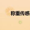 称重传感器检定规程（称重传感器）