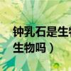 钟乳石是生物吗 为什么简单回答（钟乳石是生物吗）