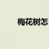 梅花树怎么画好看（梅花树怎么画）