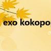 exo kokopop专辑（exokokopop百度云）