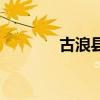 古浪县人民政府官网（古浪）