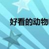 好看的动物电影大全(好看的动物电影) 好看的动物电影大全(好看的动物电影)