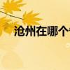 沧州在哪个省哪个市区（沧州在哪个省）