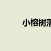 小榕树落叶是什么原因（小榕树）