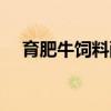 育肥牛饲料配方软件（育肥牛饲料配方）