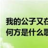 我的公子又在何方是什么歌曲（我的公子又在何方是什么歌）
