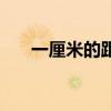 一厘米的距离和夜曲（一厘米的距离）