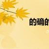 的确的近义词（特别近义词）