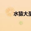 水猿大圣无支祁是谁（水猿大圣）