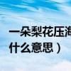 一朵梨花压海棠什么意思啊（一朵梨花压海棠什么意思）