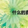 什么的喜讯填动词（什么的喜讯）