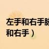 左手和右手脉搏跳动不一样是怎么回事（左手和右手）