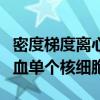 密度梯度离心法分离外周血单个核细胞（外周血单个核细胞）
