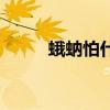 蛾蚋怕什么动物（蛾蚋最怕什么）