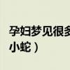 孕妇梦见很多小蛇是生男生女（孕妇梦见很多小蛇）