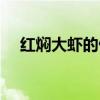 红焖大虾的做法视频（红焖大虾的做法）