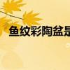 鱼纹彩陶盆是哪个远古居民使用的（鱼纹）