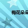 梅花朵朵开 笑靥迎春来（迎春来）
