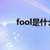 fool是什么意思（food是什么意思）