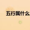 五行属什么怎么算（五行缺什么怎么算）