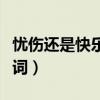 忧伤还是快乐歌词表达什么（忧伤还是快乐歌词）