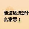 随波逐流是什么意思解释词语（随波逐流是什么意思）