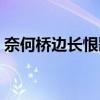 奈何桥边长恨歌未修改版（奈何桥边长恨歌）