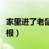 家里进了老鼠该怎么办（家里进了老鼠怎么除根）