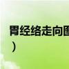 胃经络走向图及功效（胃经走向的准确位置图）